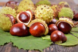 Castagne 'matte'